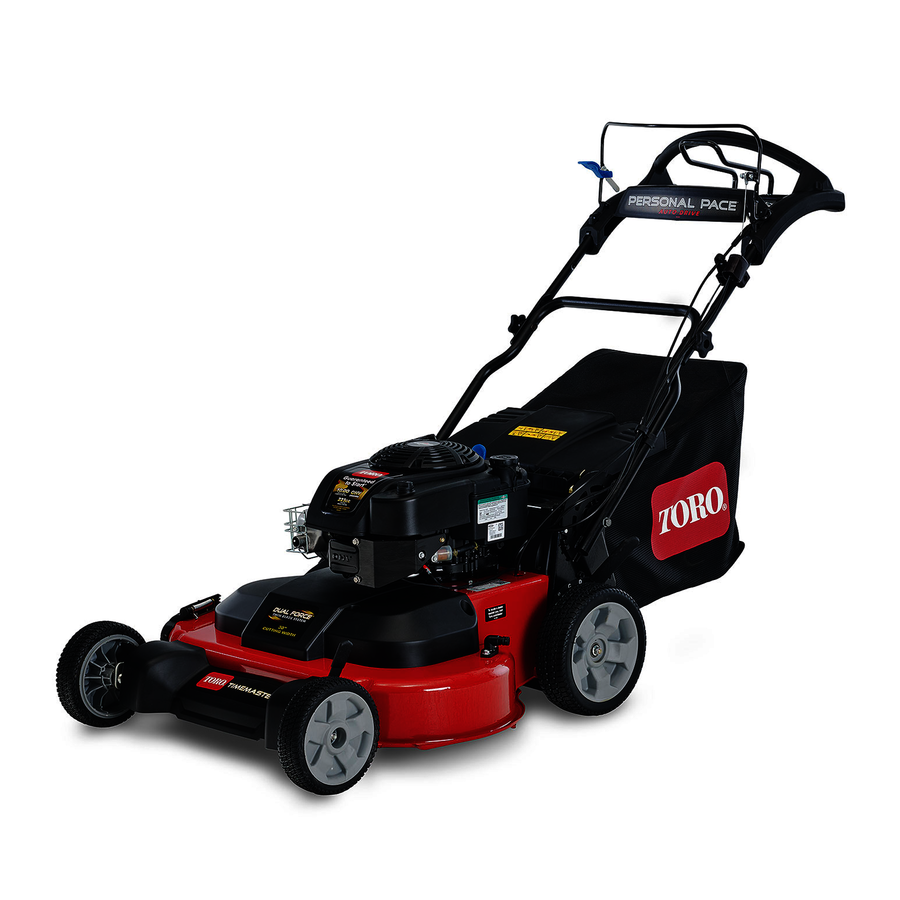 Toro Timemaster 30
